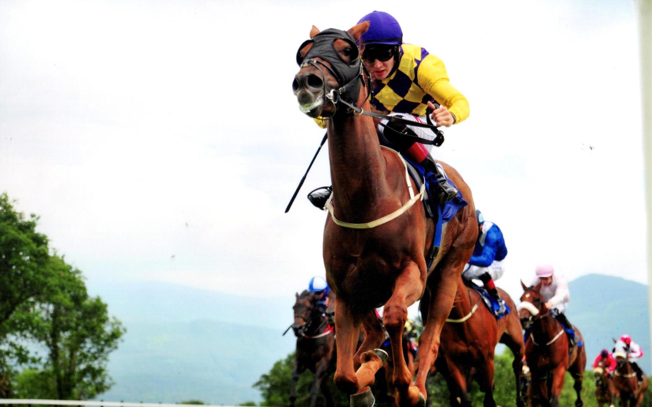ARTISTIC MELODY gets off the mark at Killarney 18th July 2017